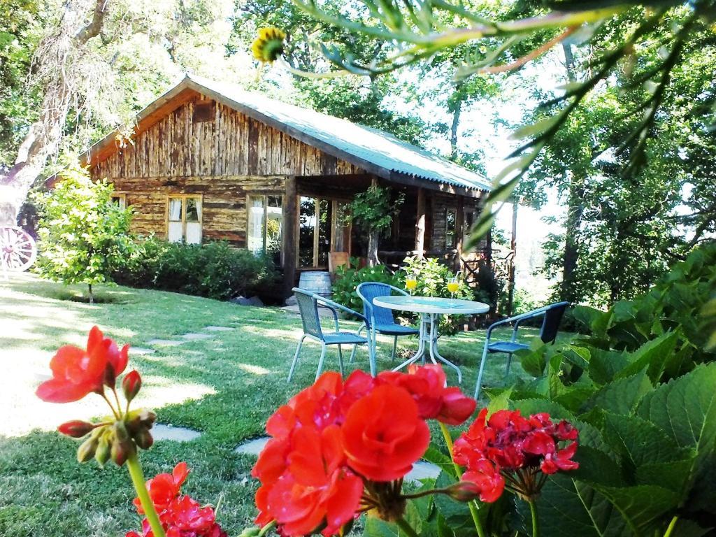Lodge Mirador 칠리언 외부 사진